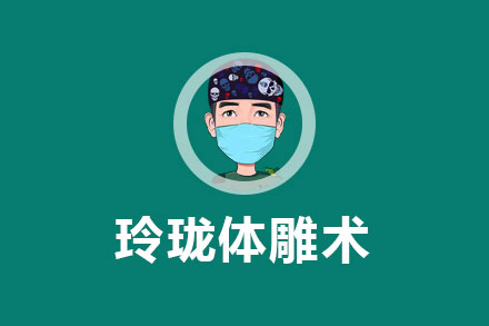 玲珑体雕术